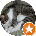 Chinlin Chen profile picture